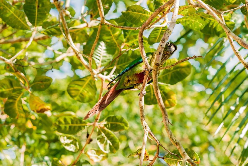 Recanto Tiribas Ilhabela
